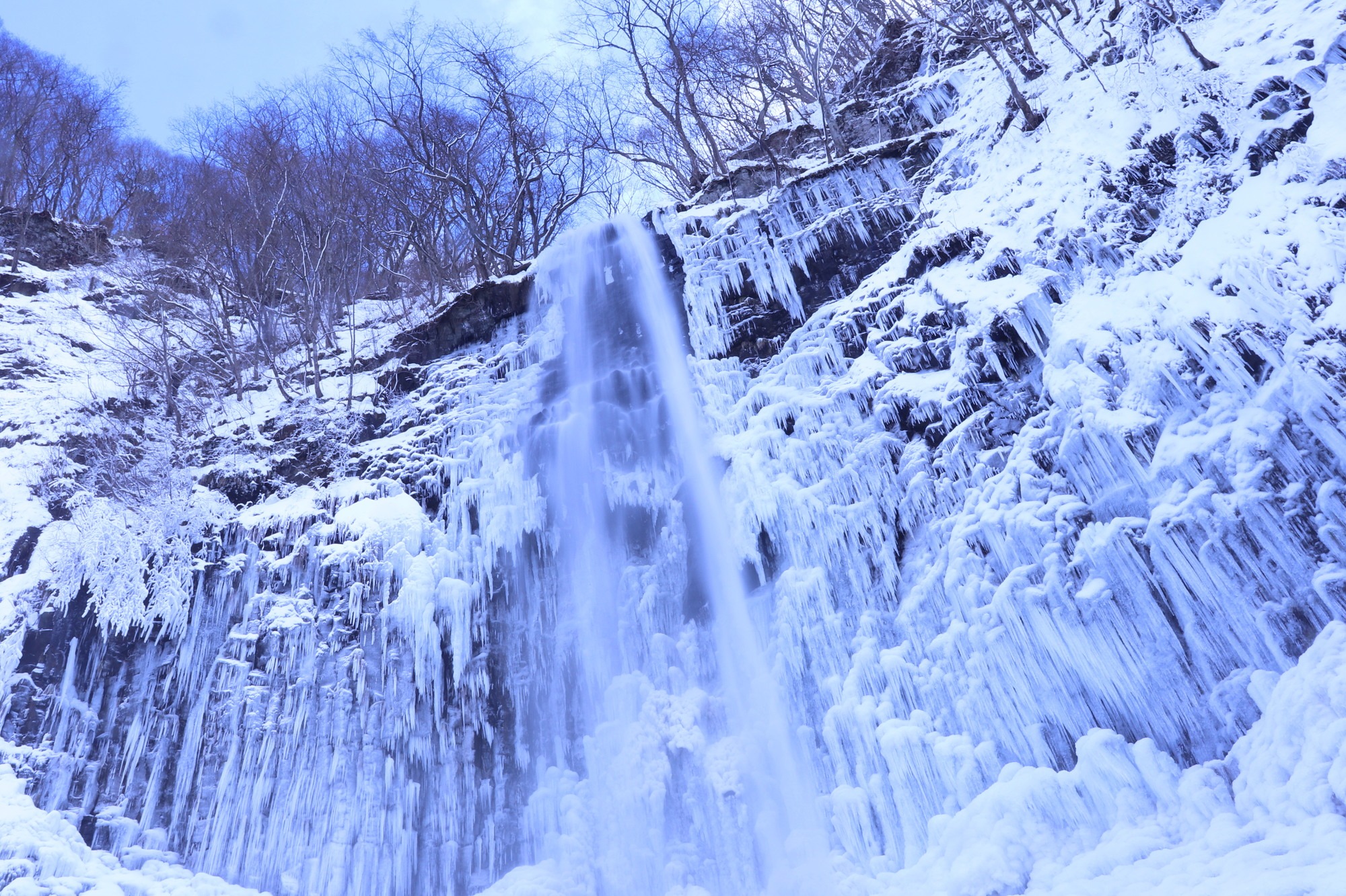 青白く輝く自然の芸術作品 氷瀑
