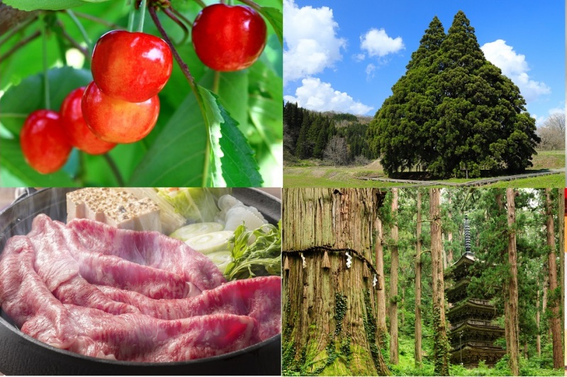 山形県エリアガイド