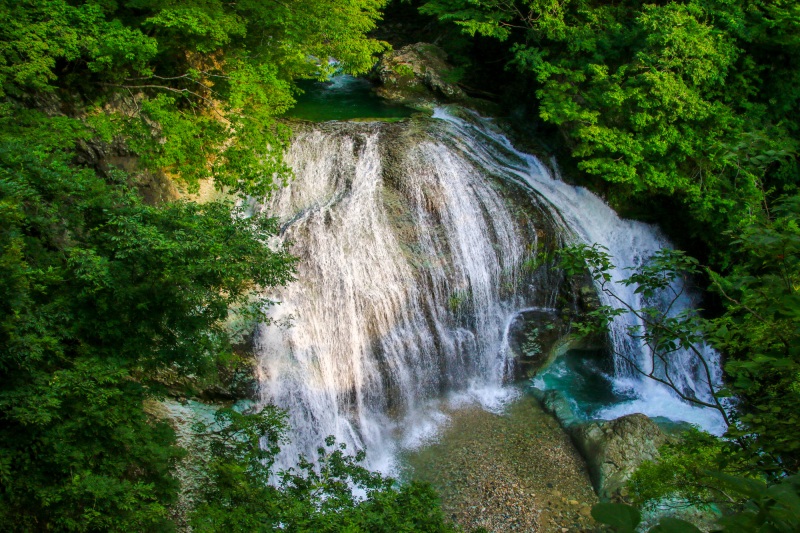 夏の楽しみ:涼を求めて