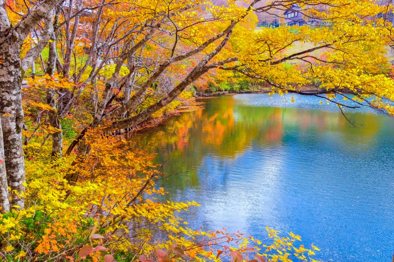 秋の楽しみ:山形グルメ満載