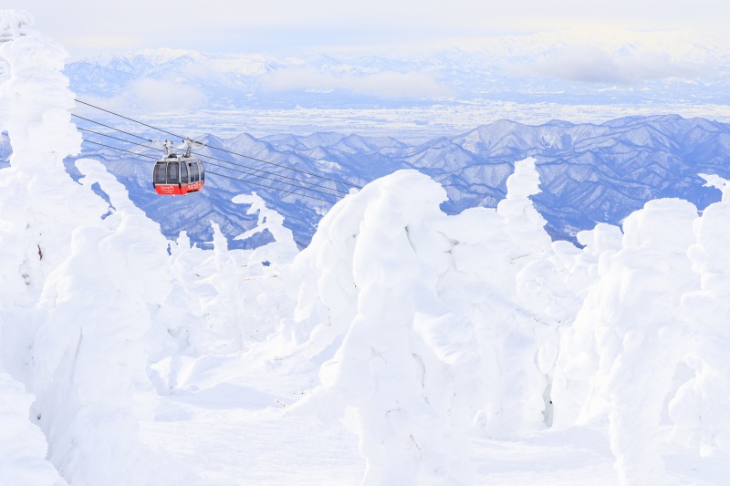 冬の楽しみ:雪が作る幻想的な世界