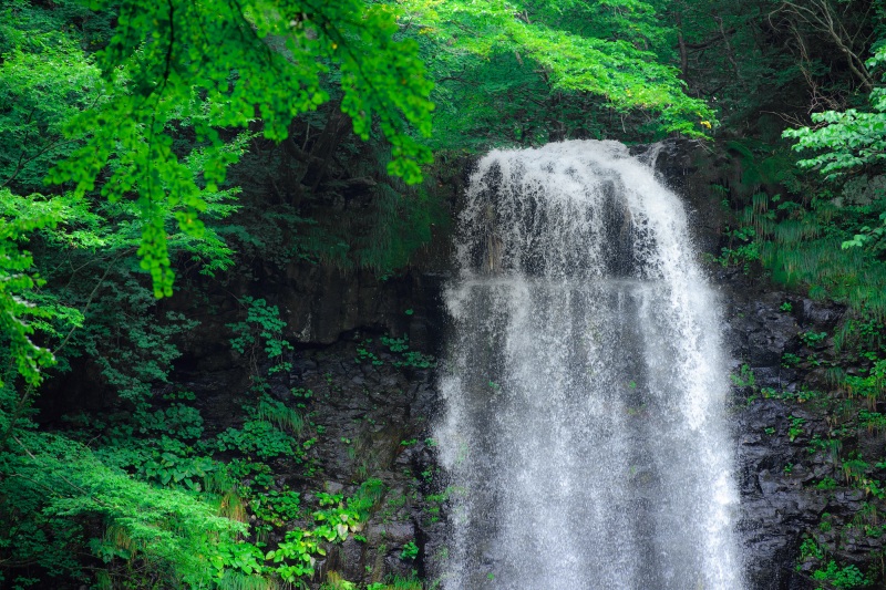 初心者でも行ける滝トレッキング