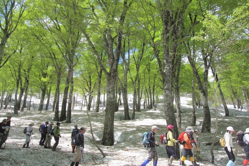 山形でアクティブに楽しもう!【東北DC特集】