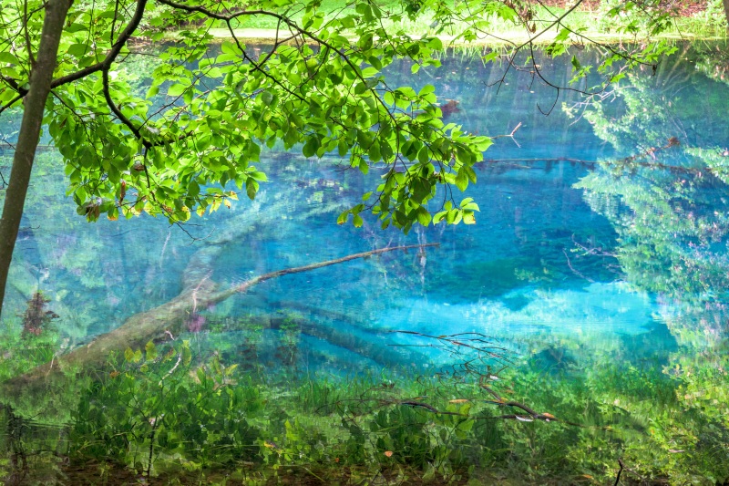 夏休みは山形へ!山形夏のベストスポット