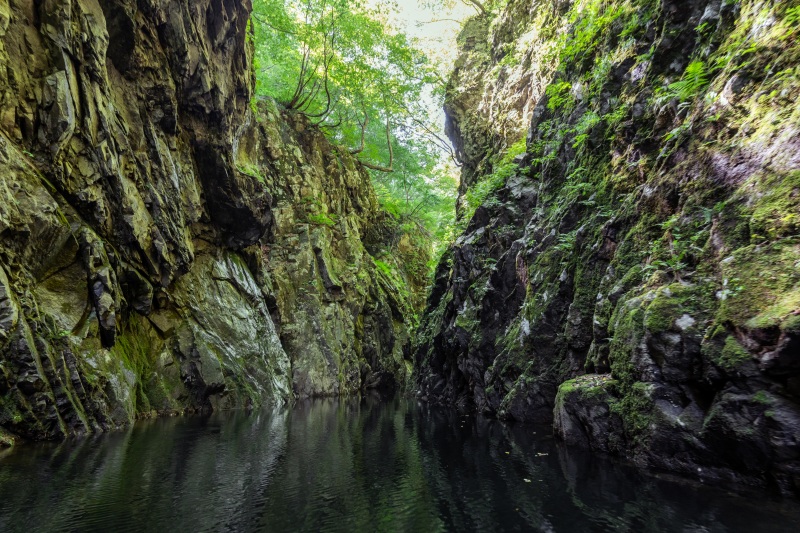 インスタ映え必至のスイーツを味わい、ながい百秋湖で絶景参拝を