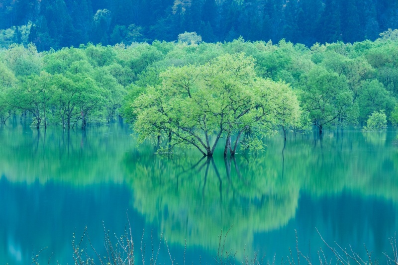 GWにおすすめ!春限定の絶景スポット
