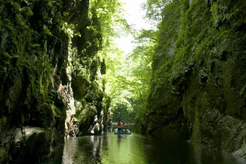 みどころ満載!自然が織りなす感動の絶景