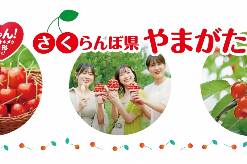 さくらんぼ県やまがたへ~きゅん!こころトキメク山形です!~