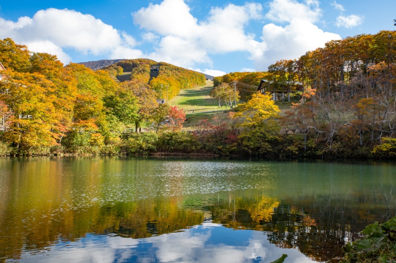 【まとめ】Feel the ZAO