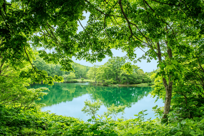 自然を愛でる旅