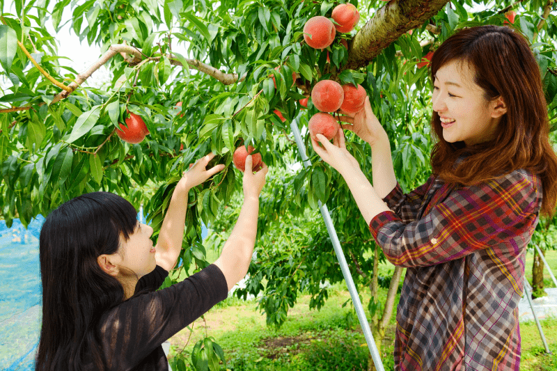 子どもと楽しむ旅