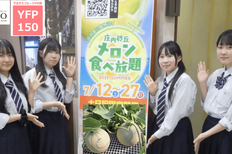 やまがたフルーツPR隊「YFP150」vol.1(前編) 庄内砂丘メロン