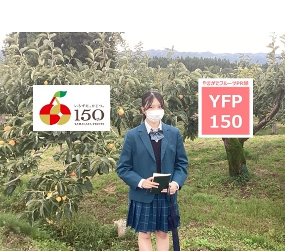 やまがたフルーツPR隊「YFP150」vol.8(前編)庄内柿