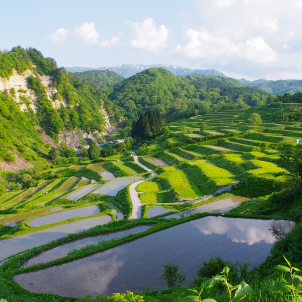 肘折温泉湯めぐり&パワースポットめぐり