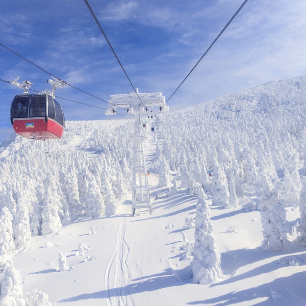 冬満喫!雪灯籠まつり&樹氷鑑賞