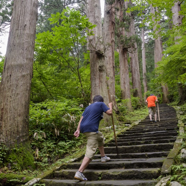 夏の羽黒を満喫!日帰り旅