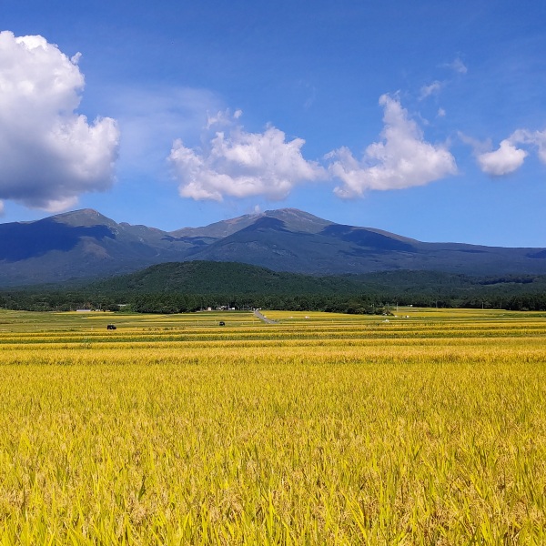 ~庄内三十三観音編~ やまがた出羽百観音を巡る旅