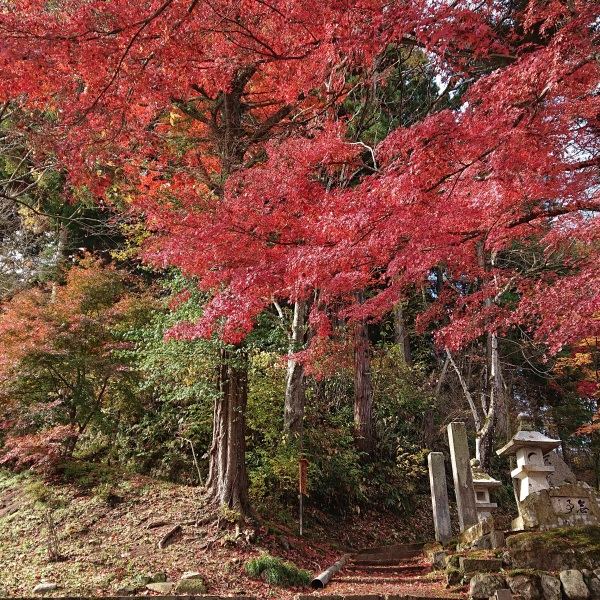 ~置賜三十三観音編~ やまがた出羽百観音を巡る旅