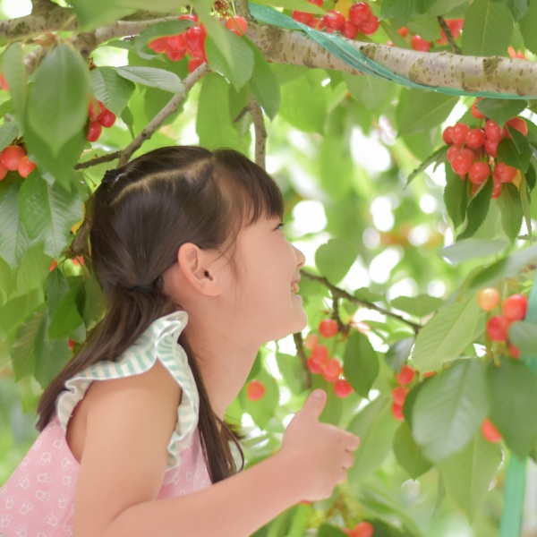 子連れ旅行におすすめ!春~秋の旅(庄内空港発着)