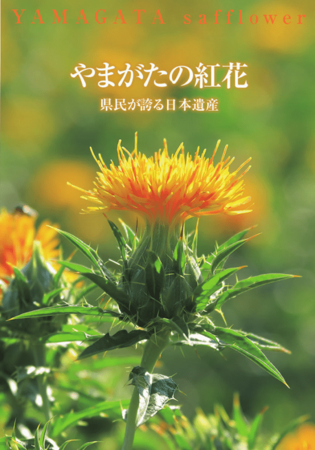 やまがたの紅花