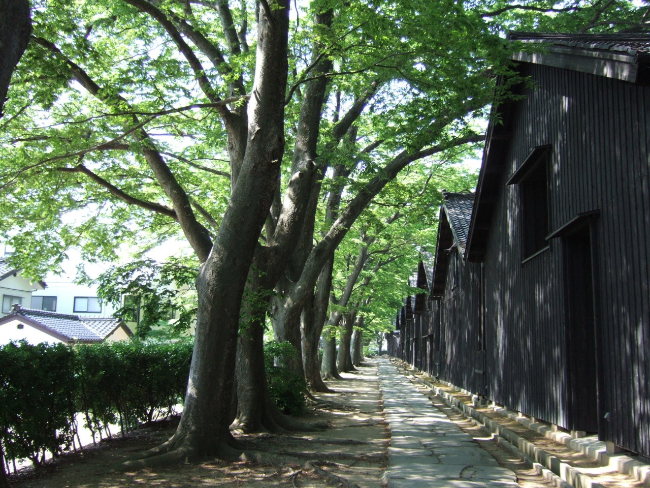 โกดังซังเคียวโซโกะ