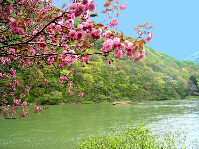 最上峽芭蕉Line觀光(最上川舟遊) (Mogami River Basyo Line Descent)