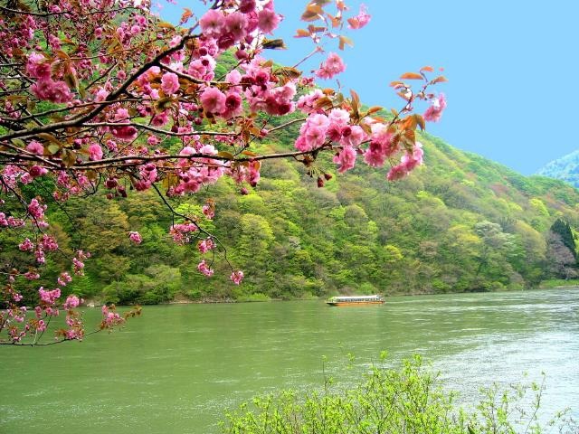 (最上川舟下り)最上峡芭蕉ライン観光