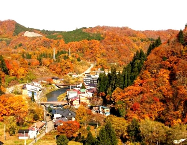 温泉全体が真っ赤に紅葉し鮮やかな世界