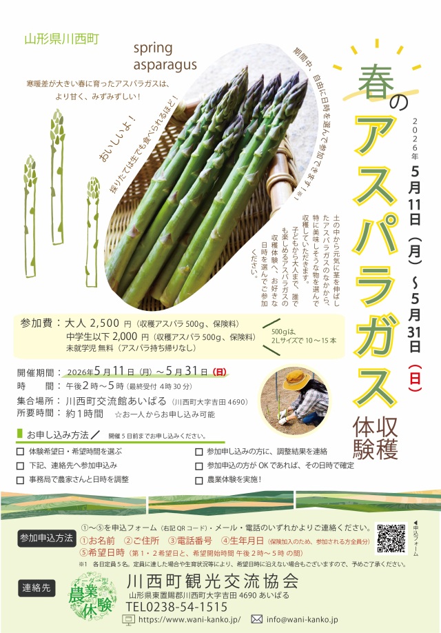 春のアスパラガス収穫体験(川西町)