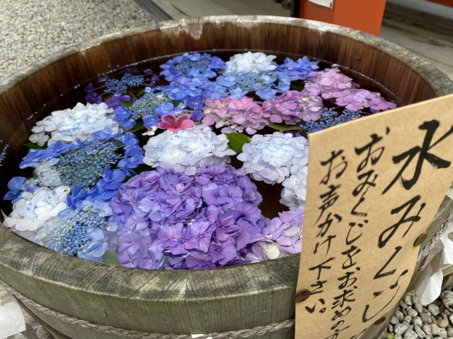 山形のあじさいを見に行こう