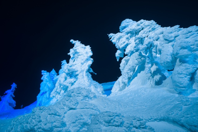 让人忘却严寒!梦幻般的冬季情景