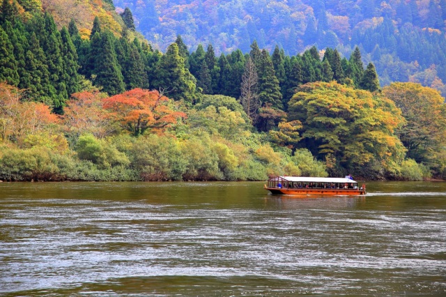 當紅葉渲染群山,便代表水果採收的季節來臨了。