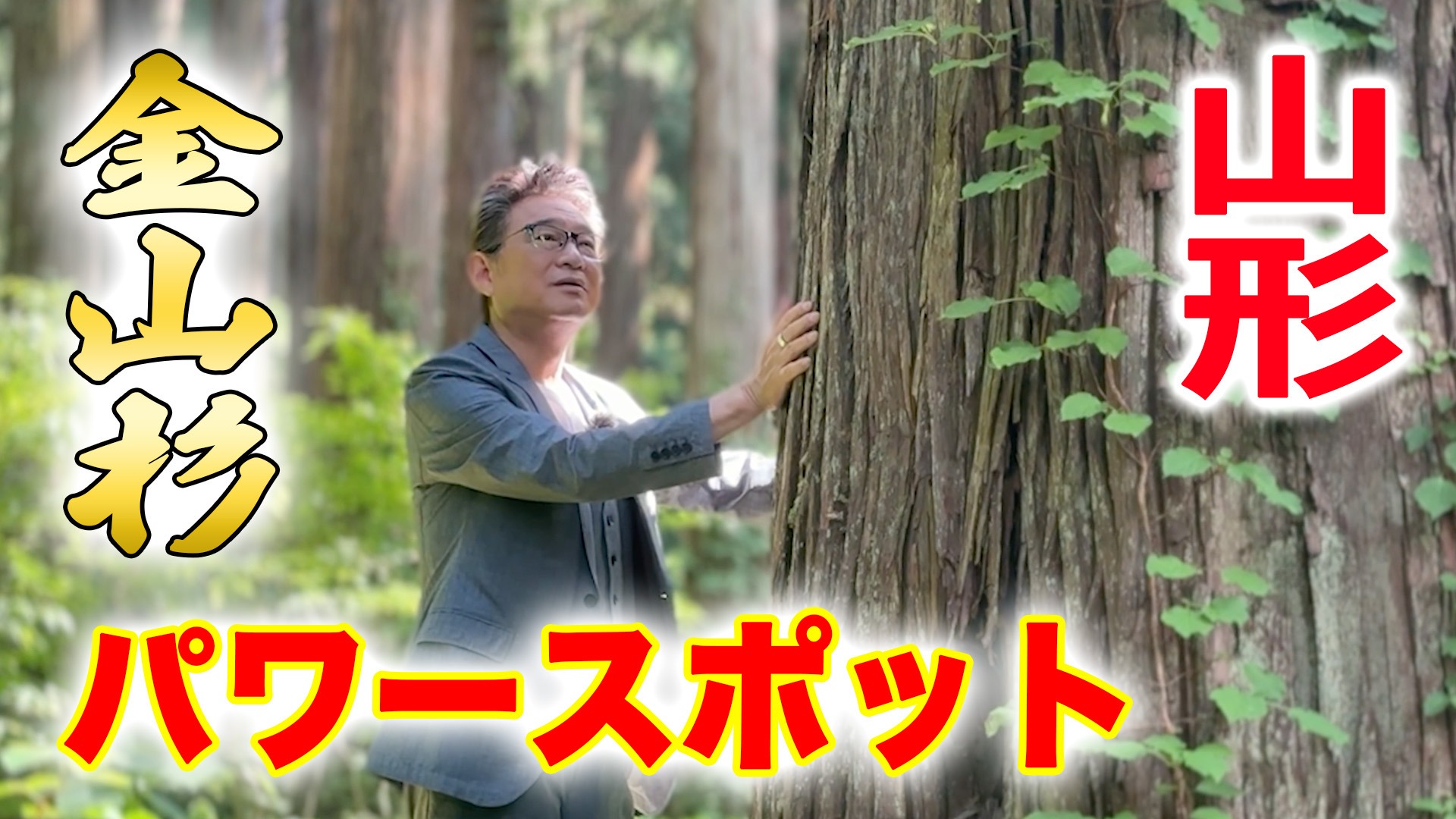 【パワースポット!?】/ 船越英一郎福知事 大杉に会いに行く #04 金山杉編