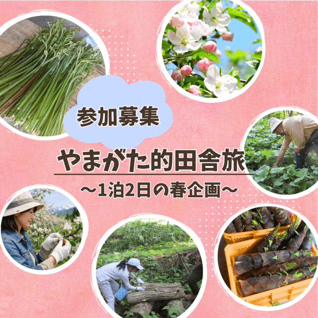 「やまがた的田舎旅2026」参加者募集中!