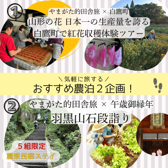 「やまがた的田舎旅2026」夏企画 参加者募集中!